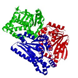Image of CATH 3m6n