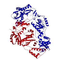Image of CATH 3m8q