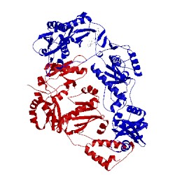 Image of CATH 3m8q