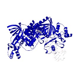 Image of CATH 3maq