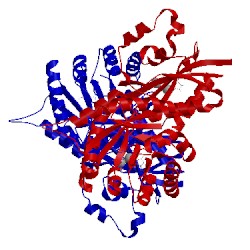 Image of CATH 3mco