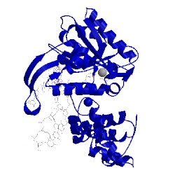 Image of CATH 3mda