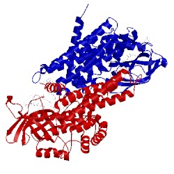 Image of CATH 3mde
