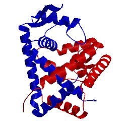 Image of CATH 3mex