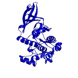 Image of CATH 3mft