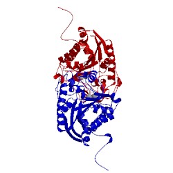 Image of CATH 3mfv