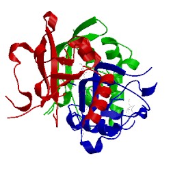 Image of CATH 3mfx