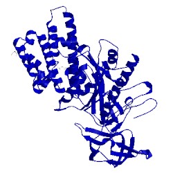 Image of CATH 3mfy
