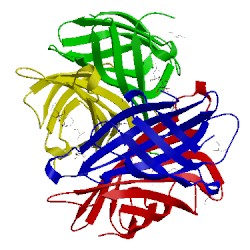 Image of CATH 3mg5