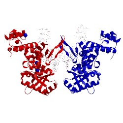 Image of CATH 3mgh