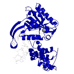 Image of CATH 3mgi