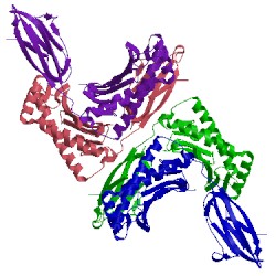 Image of CATH 3mgo