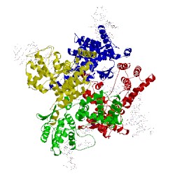 Image of CATH 3mgv