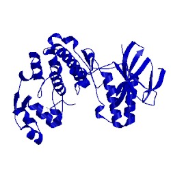 Image of CATH 3mh3