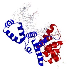 Image of CATH 3mkw