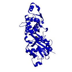 Image of CATH 3mmv