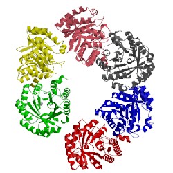 Image of CATH 3mp5