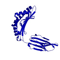 Image of CATH 3mrg