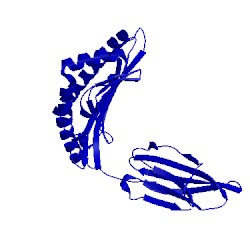 Image of CATH 3mrk