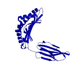 Image of CATH 3mrl