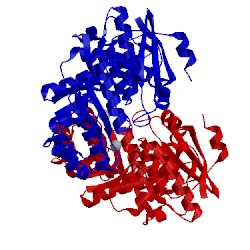 Image of CATH 3muc