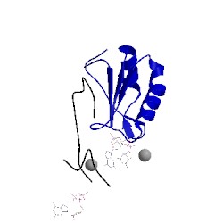 Image of CATH 3mum