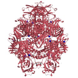 Image of CATH 3muz