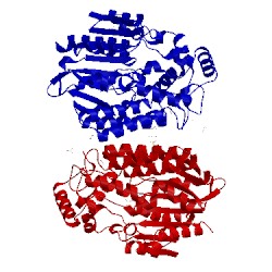 Image of CATH 3mve