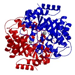 Image of CATH 3mvi