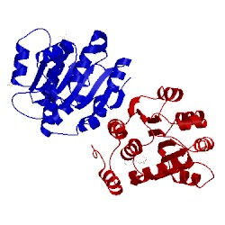 Image of CATH 3mwl