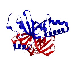 Image of CATH 3mxn