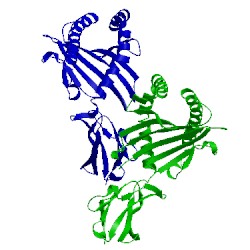 Image of CATH 3myj