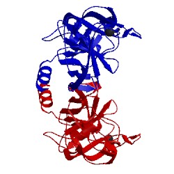 Image of CATH 3myw