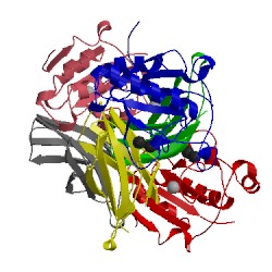 Image of CATH 3n1q