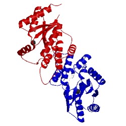 Image of CATH 3n2i