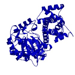 Image of CATH 3n51