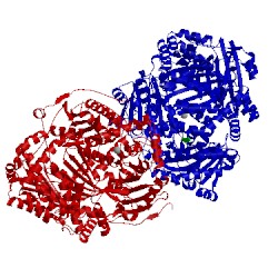 Image of CATH 3n57