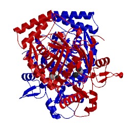 Image of CATH 3n63