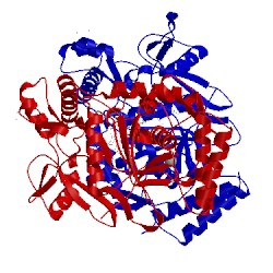 Image of CATH 3n67