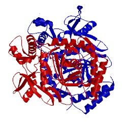 Image of CATH 3n6a