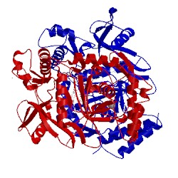 Image of CATH 3n6d