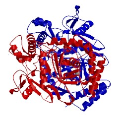 Image of CATH 3n6f