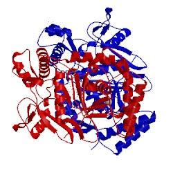 Image of CATH 3n6g