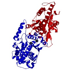 Image of CATH 3n7b