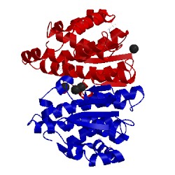 Image of CATH 3n9j