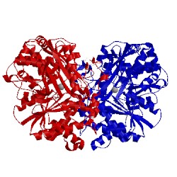 Image of CATH 3na5