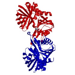 Image of CATH 3nag