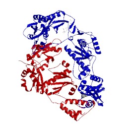 Image of CATH 3nbp