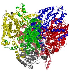 Image of CATH 3nbu