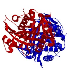 Image of CATH 3nca